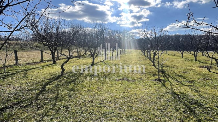 Namještena kuća površine 107m2 u osnovi ID:2232/EN